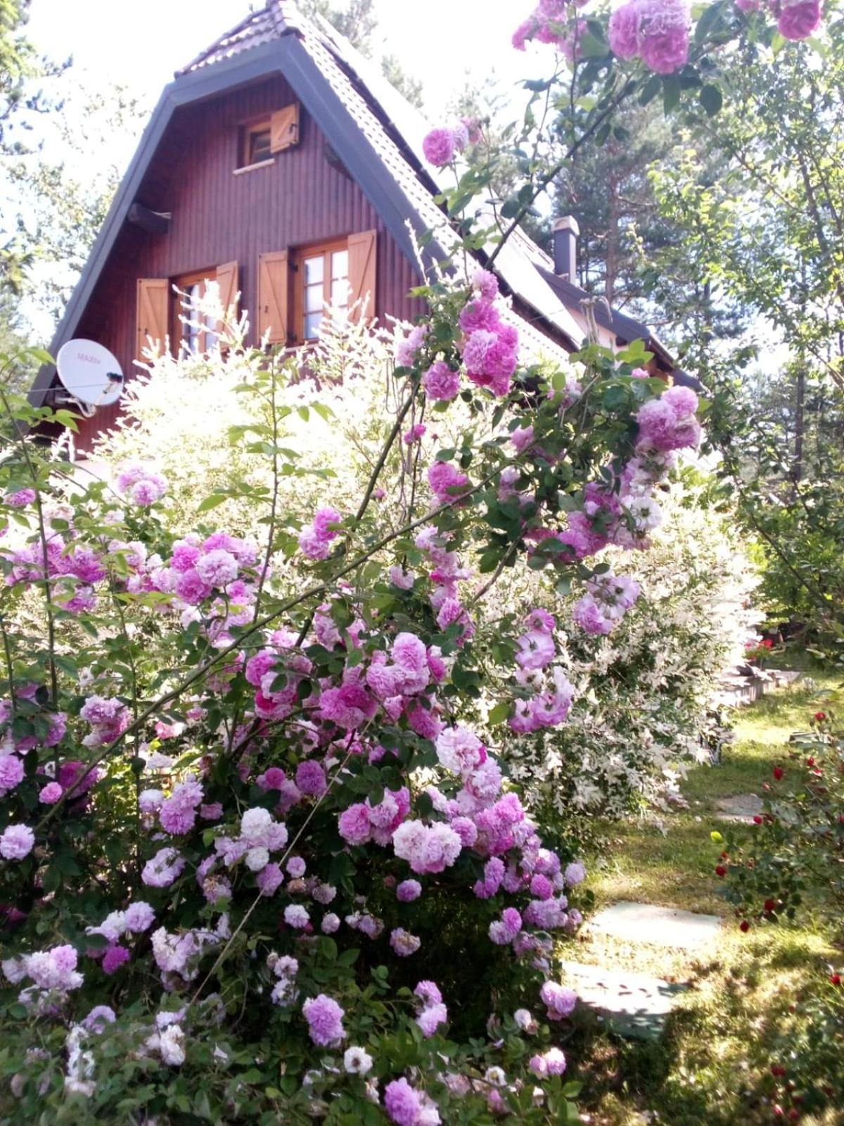 Plitvice Lakes Holiday Lodge Rudanovac Екстер'єр фото