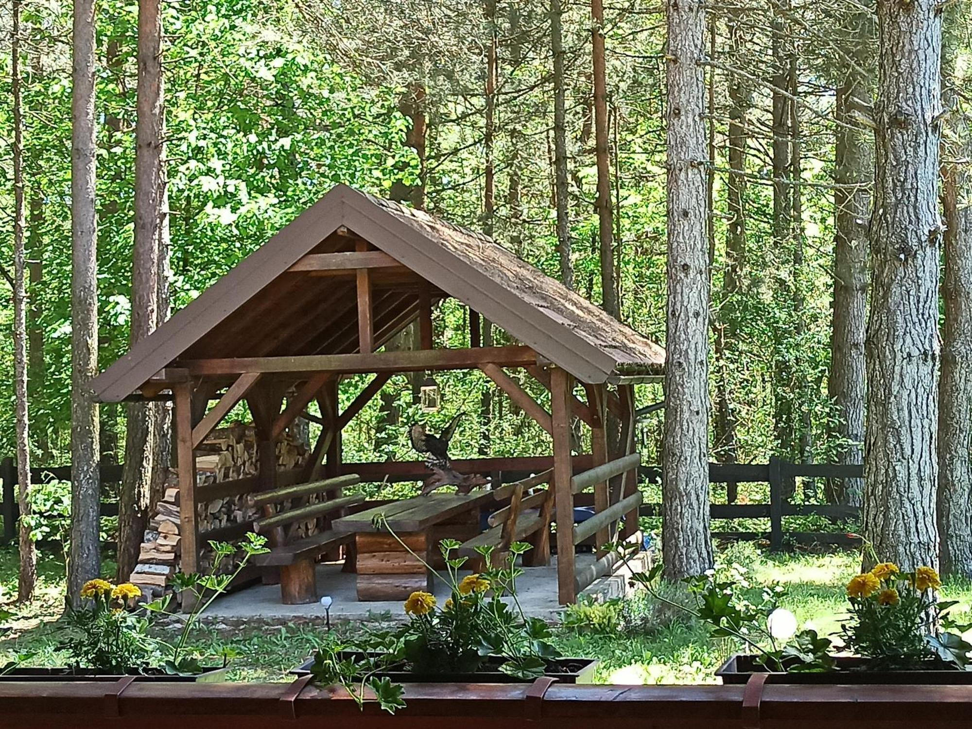 Plitvice Lakes Holiday Lodge Rudanovac Екстер'єр фото